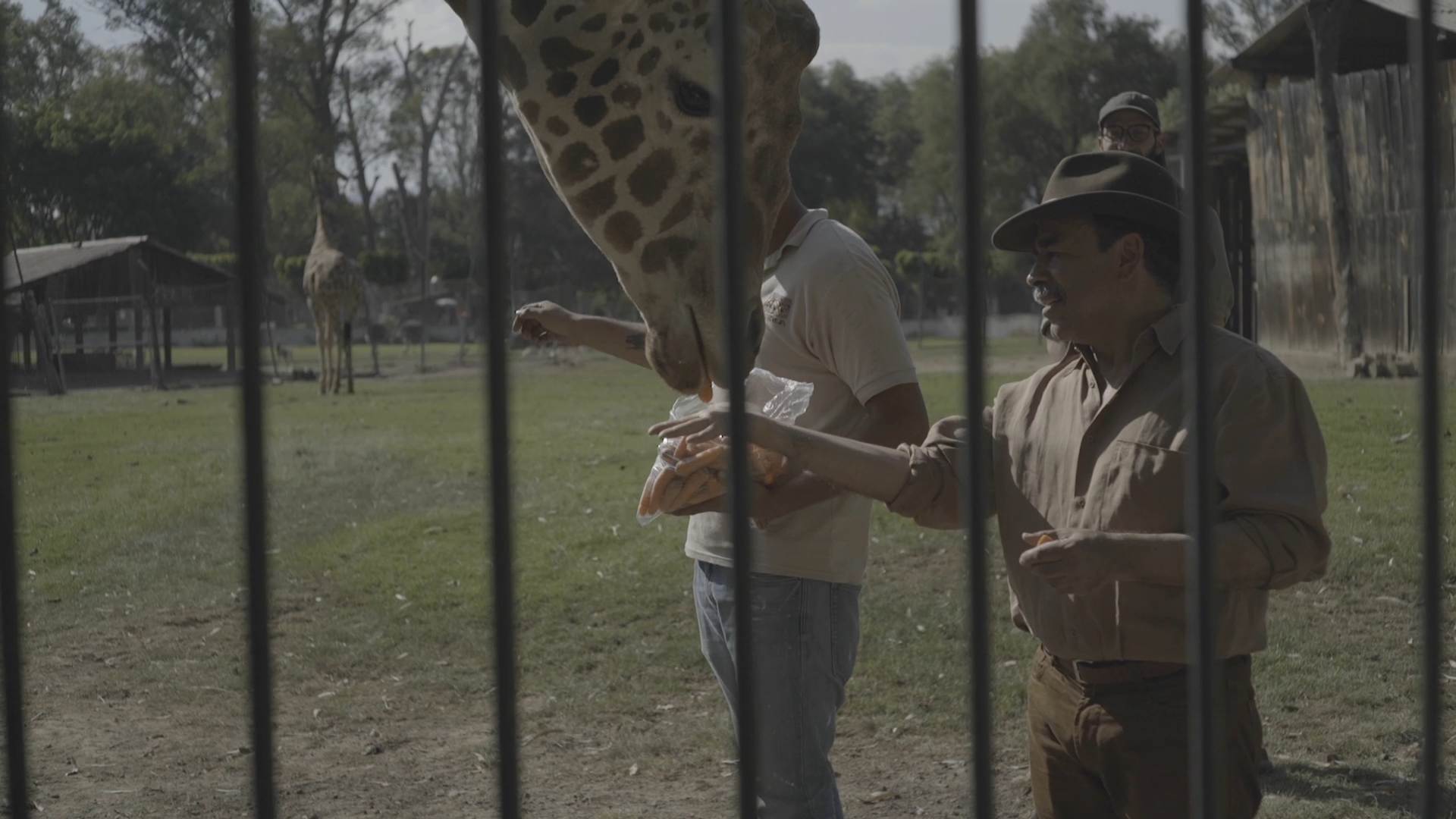 still 2025 09 24 002849 1.2.1