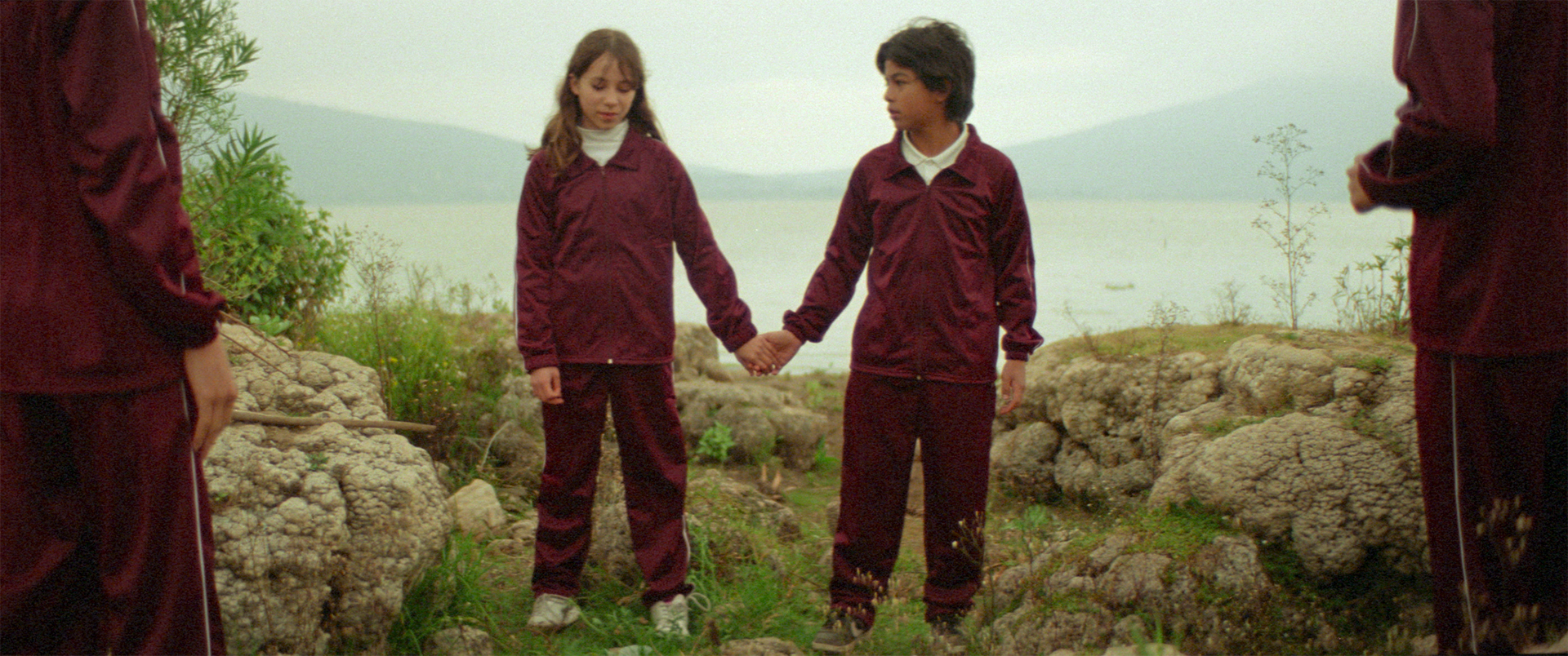 06 5 pasos still alta